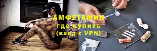индика Надым