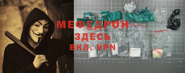 индика Надым