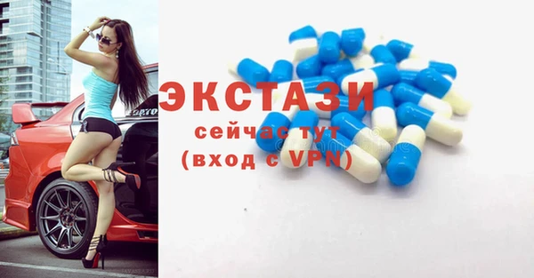 индика Надым
