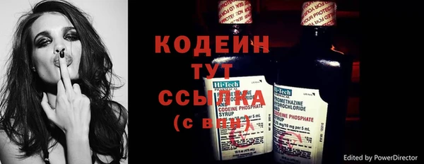 индика Надым