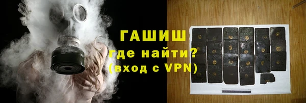 индика Надым