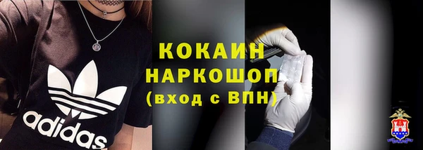 индика Надым