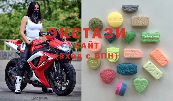 индика Надым