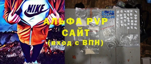 индика Надым