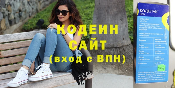индика Надым