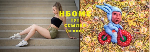 индика Надым