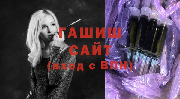 индика Надым