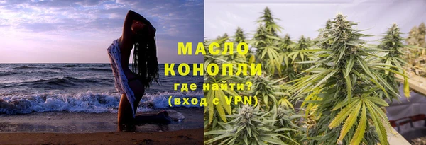 индика Надым