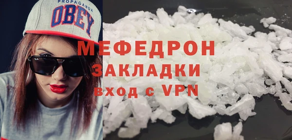 индика Надым