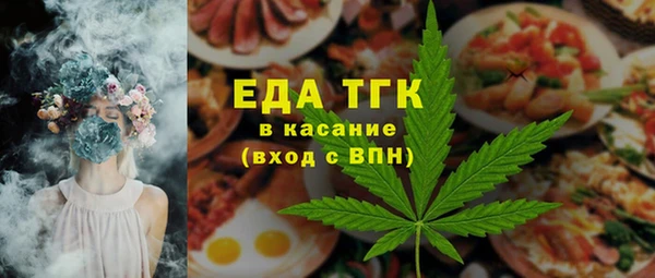 индика Надым