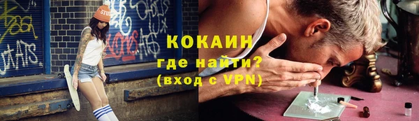индика Надым
