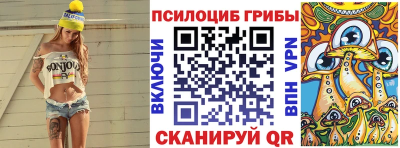 Купить где  Скопин  Псилоцибиновые грибы прущие грибы 