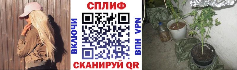 Купить  Скопин  Канабис тримм 